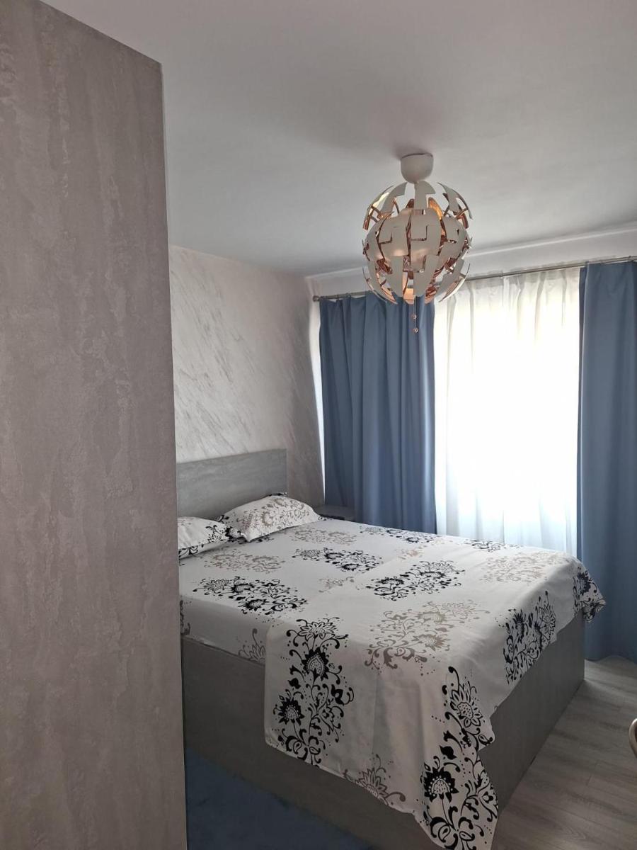 Apartament Alexe - Housity
