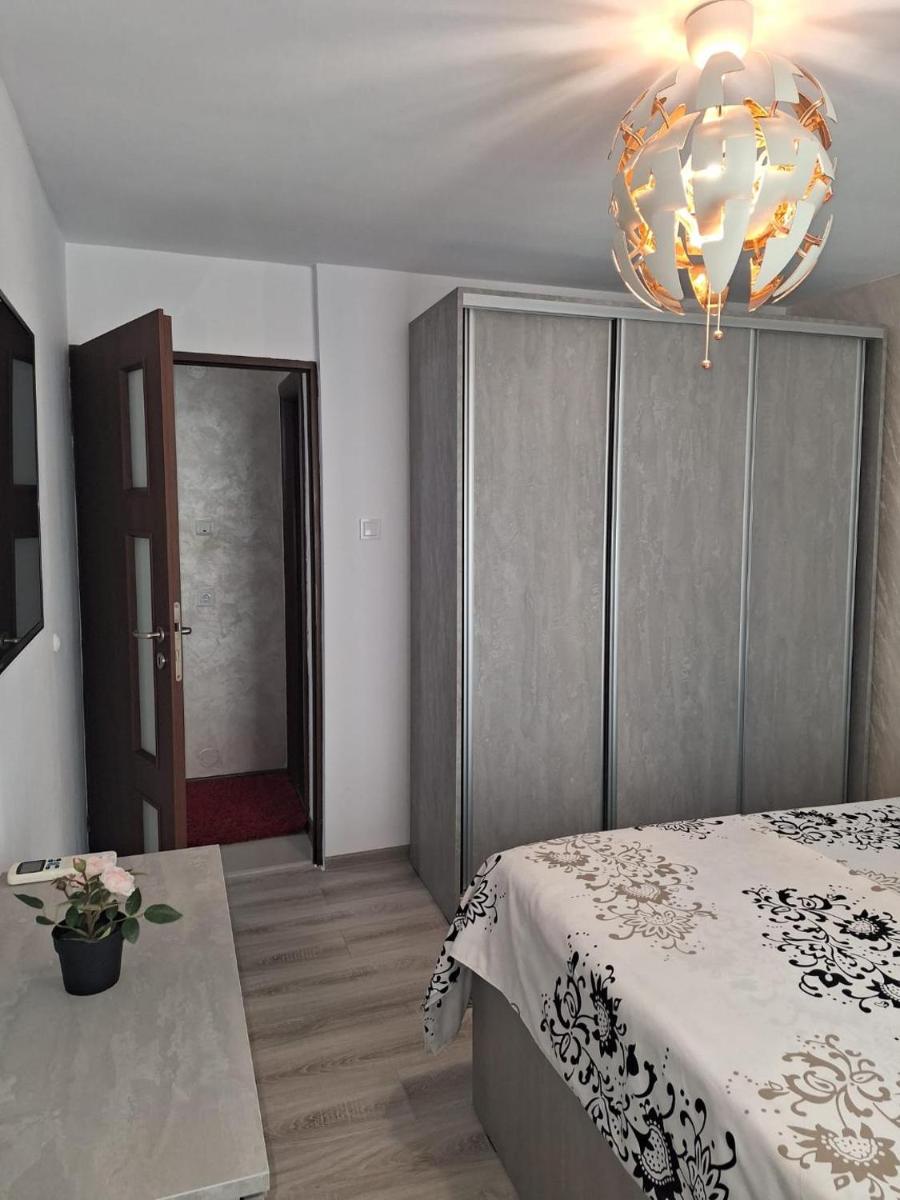 Apartament Alexe - Housity