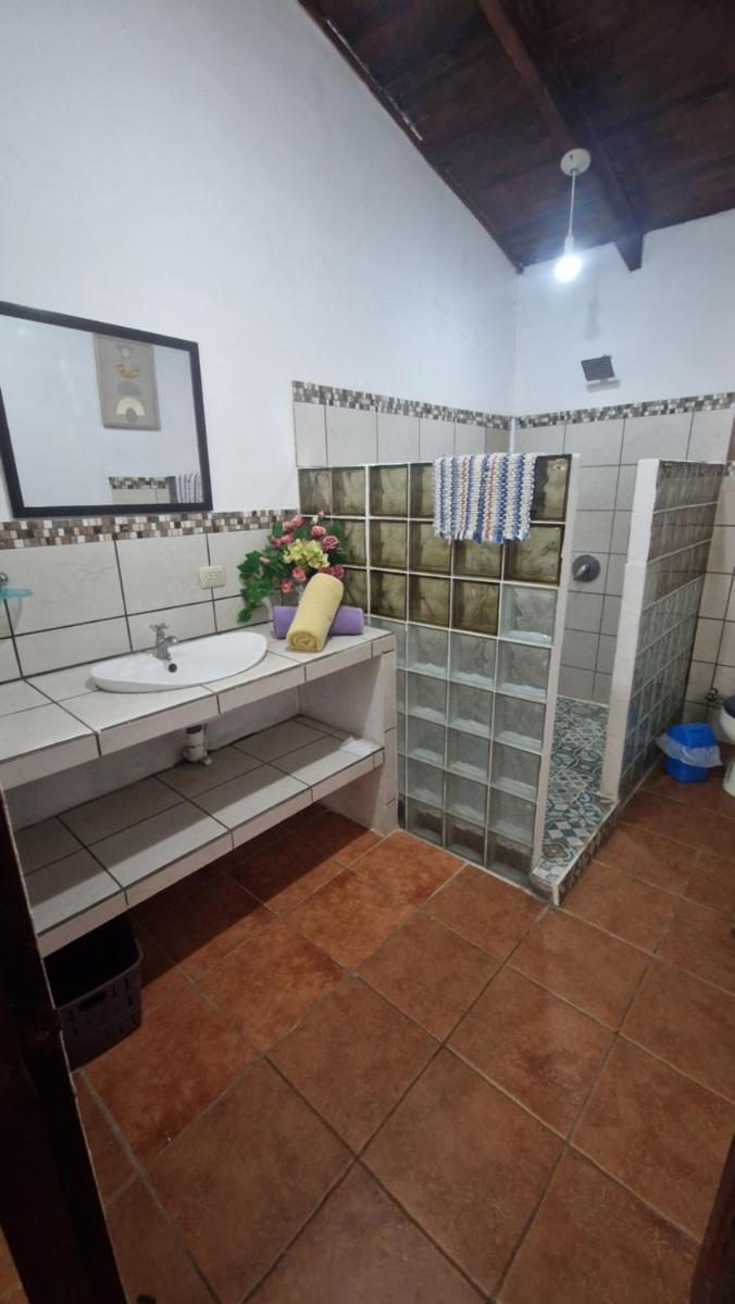 Villas jungle 5 - Housity