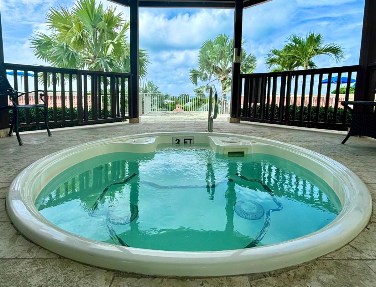 Extra spacious oceanview condo 5 min from pristine beach - Housity