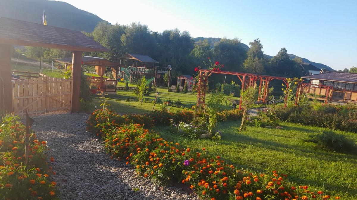 Baltina Parc Transfagarasan - Housity