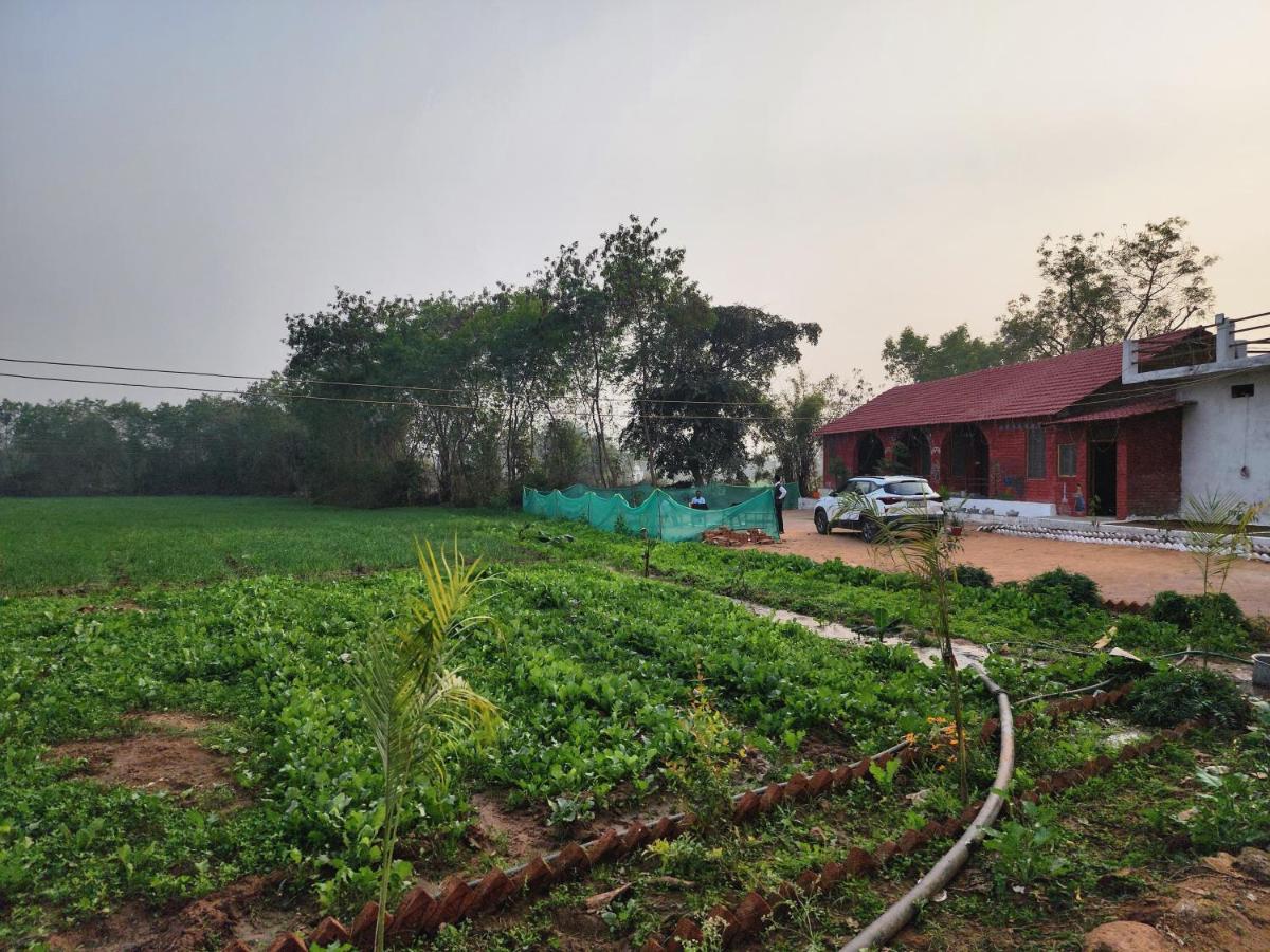 Green Nature View - Housity
