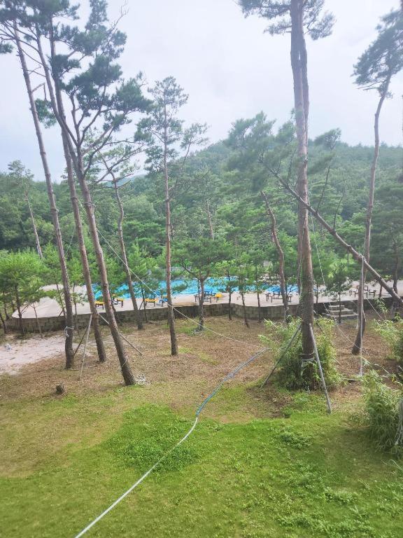 Sokcho Daemyung Heidi Pension - Housity