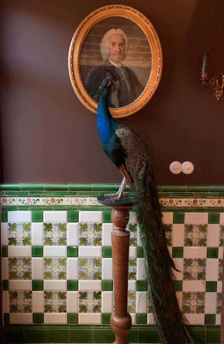 De boerderij van Toon en Jeroen - Housity