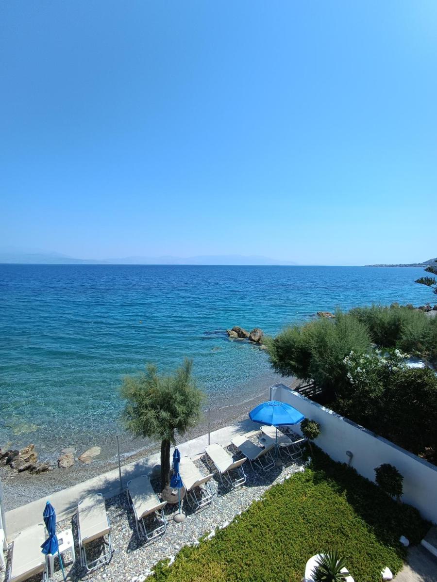 Villa Constantina Apartments - Housity