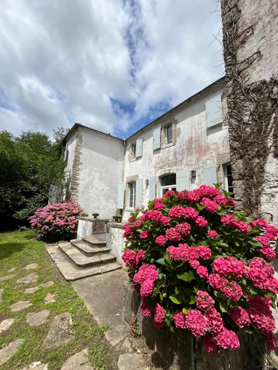 LA CAVERIE DE PEYROUX A ORTHEVIELLE (40300) - Housity