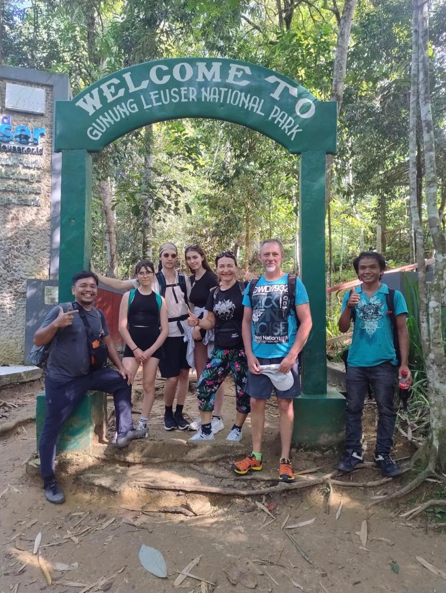 Brown Bamboo Guest house & trekking bukit Lawang - Housity