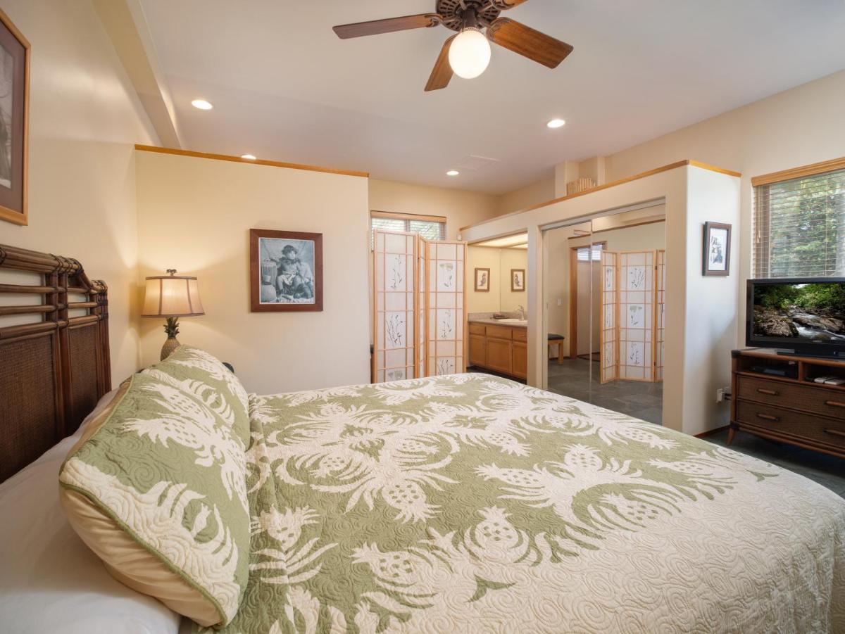 Aloha AKU - Hula 1 - Housity