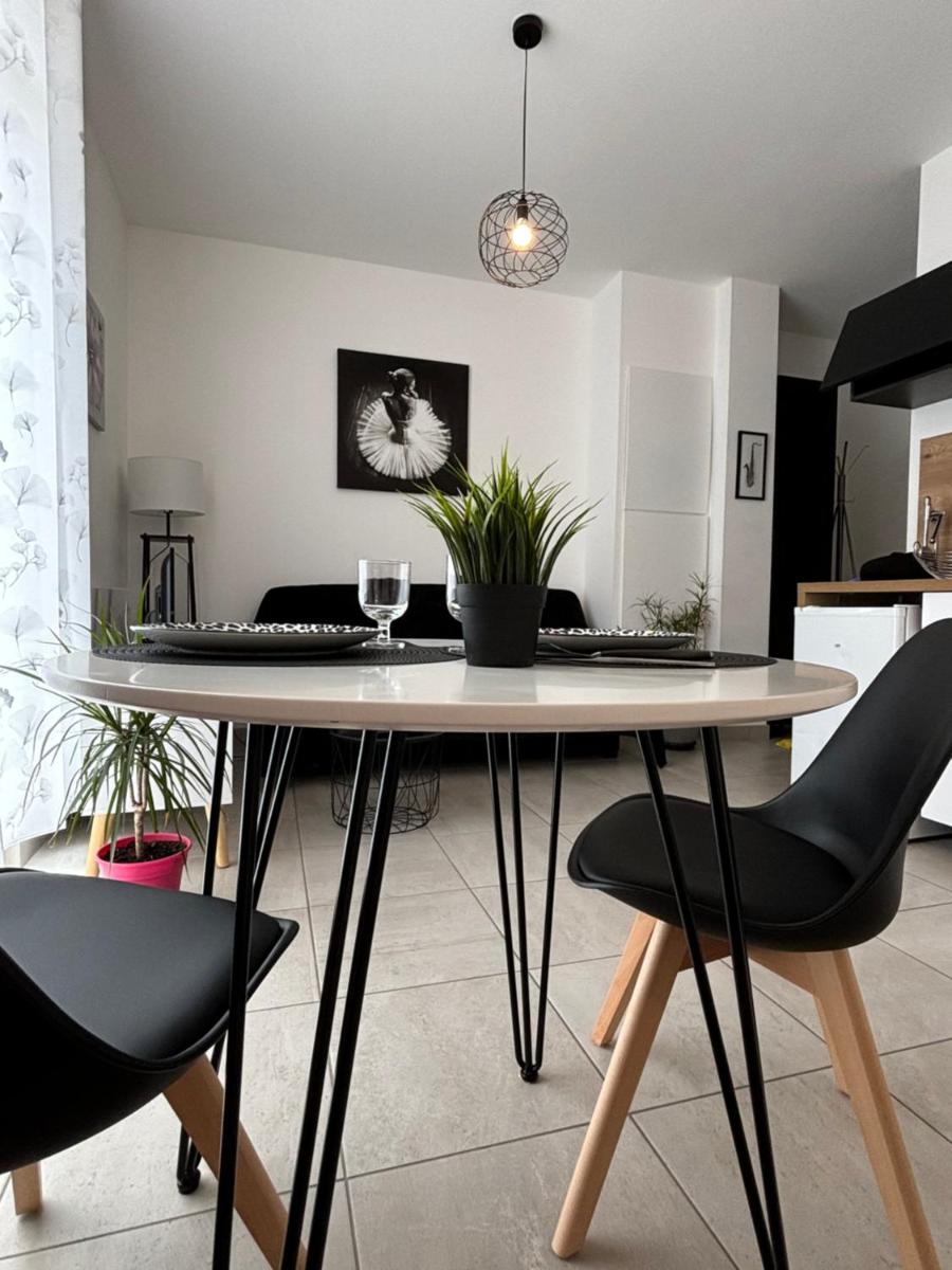 Appartement calme,lumineux ,hyper centre TOURS - Housity