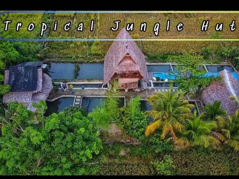 Tropical Jungle lodge & Jungle trekking - Housity
