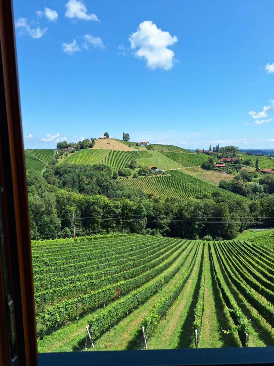 Summer Wine - Housity
