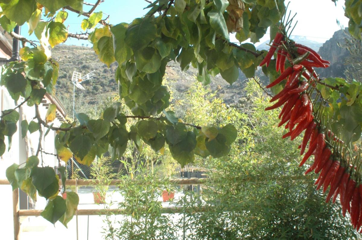 Cortijo Los Cahorros Sierra Nevada - Housity