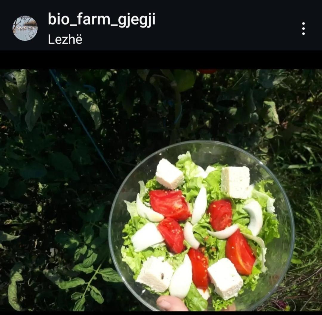 Guesthouse Gjegji - Housity
