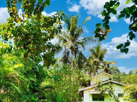 White Cottage by Lar Amorosa - Housity