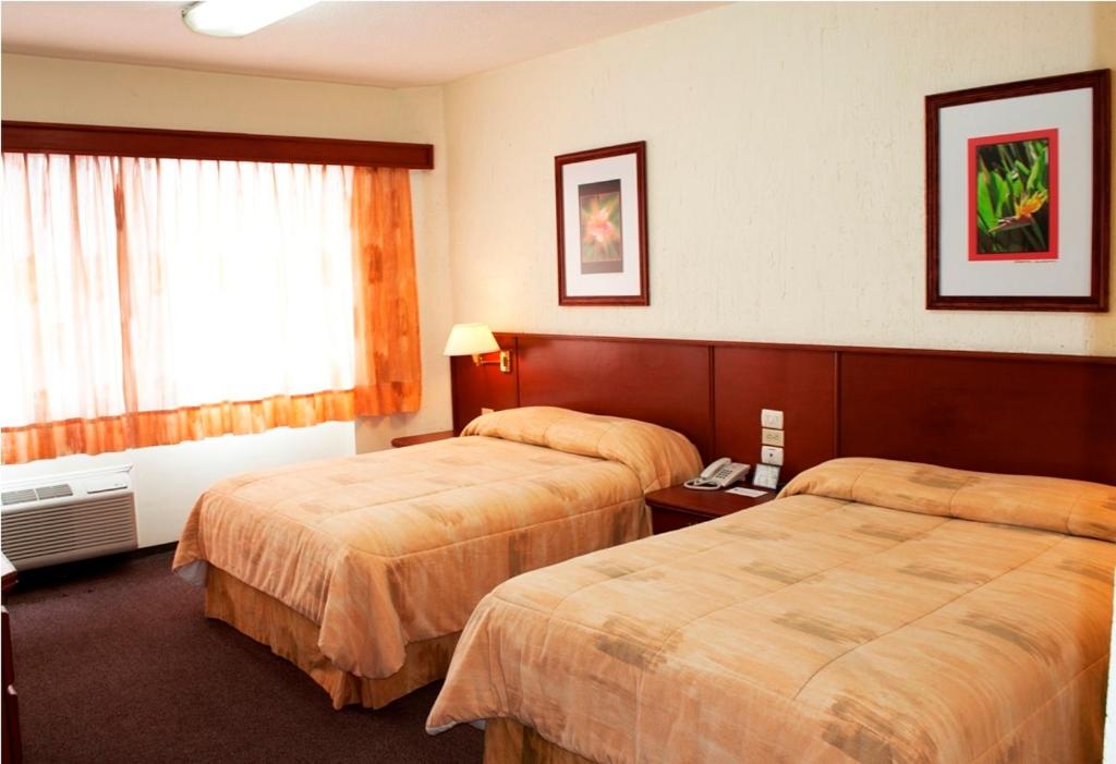Suitetrails - Hotel Marcella Clase Ejecutiva