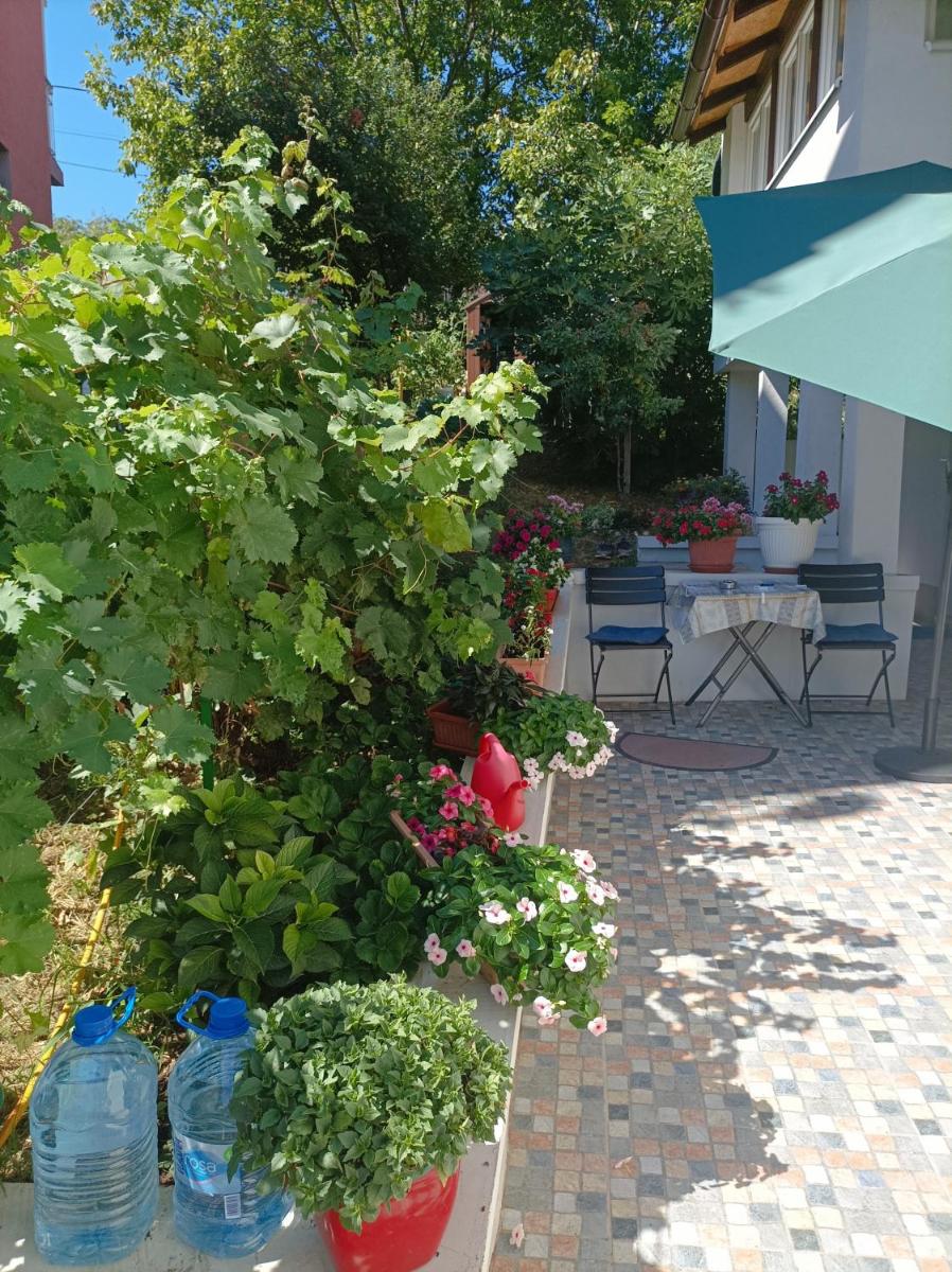 Suitetrails - NEW NOVI Apartment Sokobanja Bozo