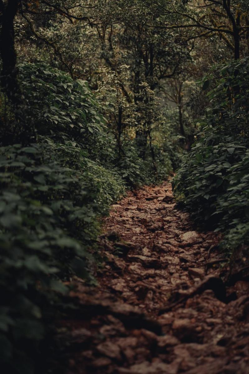 Suitetrails - nomad valley