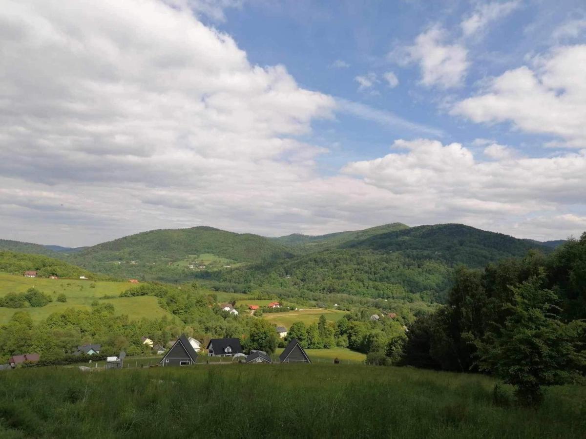Domki- Limanowa, domki z balią i sauną - Housity