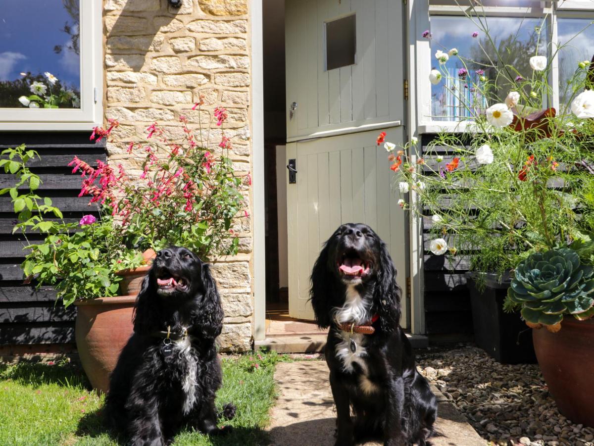 Henmarsh Cottage - Housity