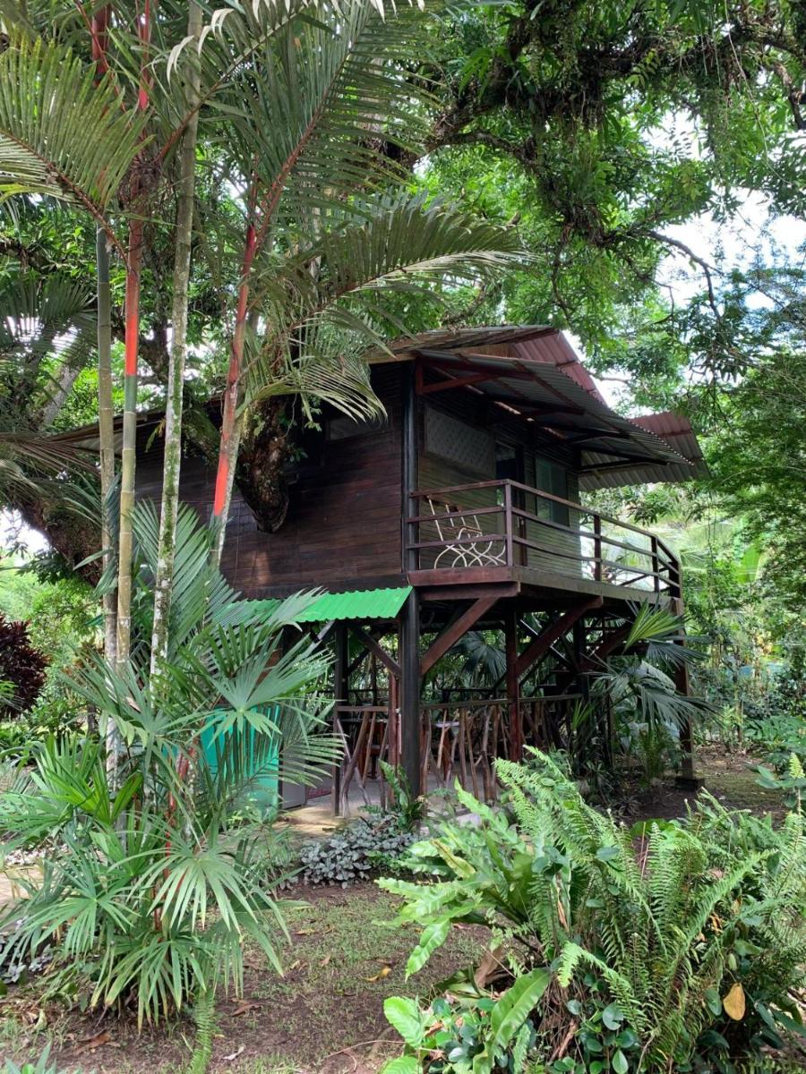 Playa Grande Lodge & Tree House - Housity
