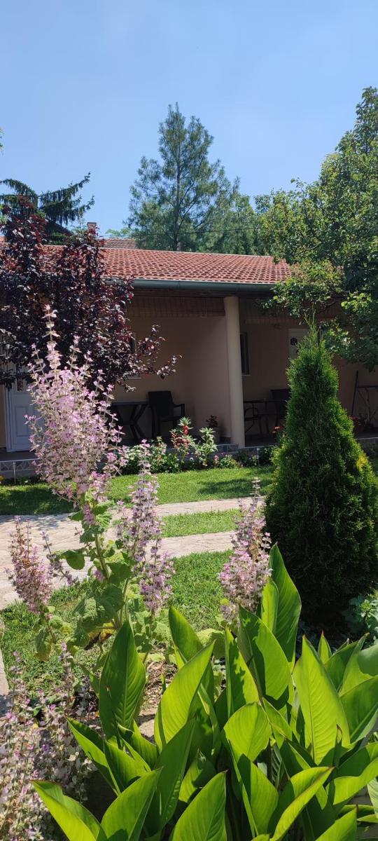 Smeštaj Vrhovac - Housity