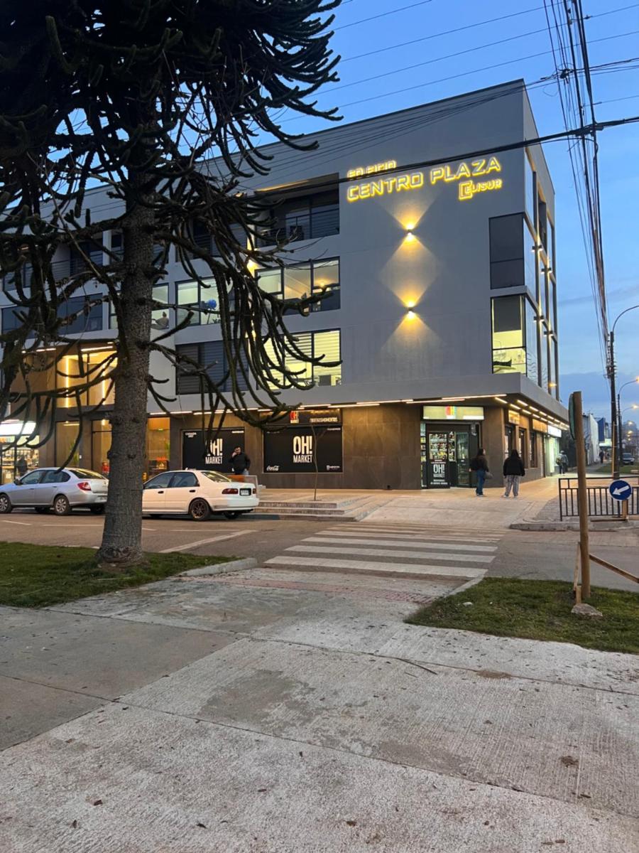 Departamento Estudio, Pitrufquén - Housity
