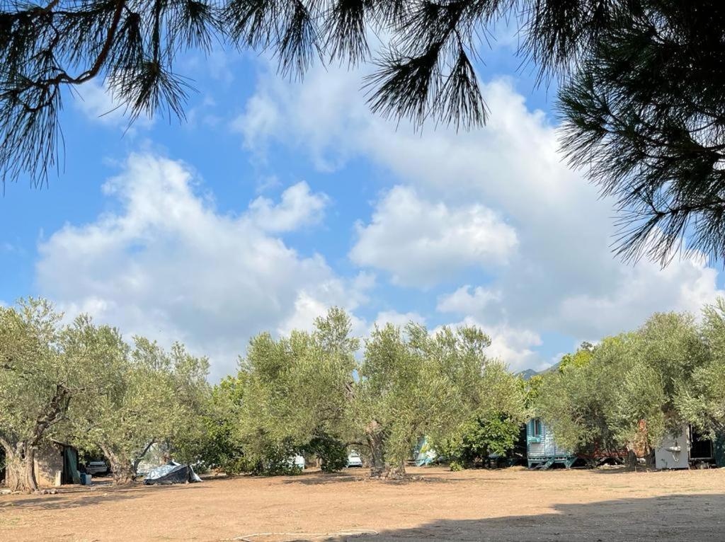 Mesken Bungalow - Housity