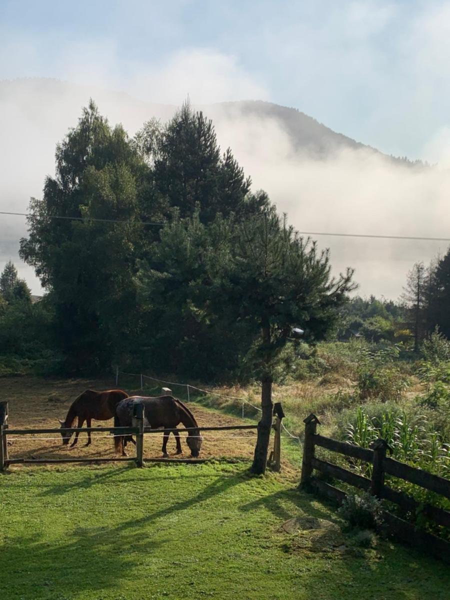 Domek pod smrekami - Hizvo