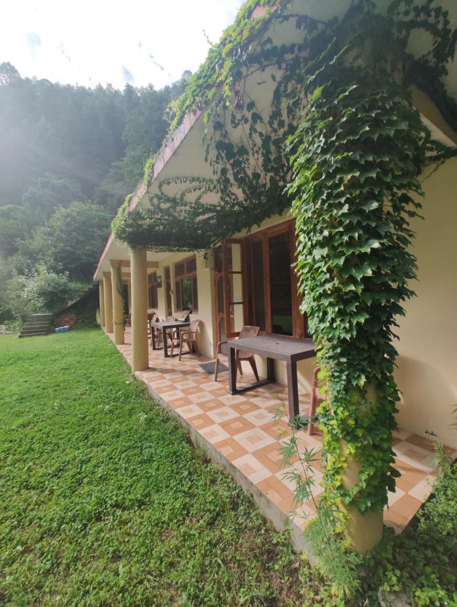 Jungle View Homestay - Tirthan Valley - Housity