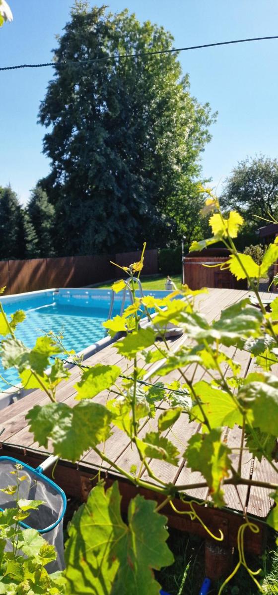 Green Wilow Siedlisko - Housity