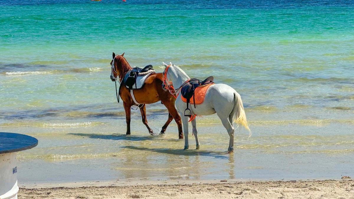 Hotel de charme et SPA Dar El Bhar - Housity