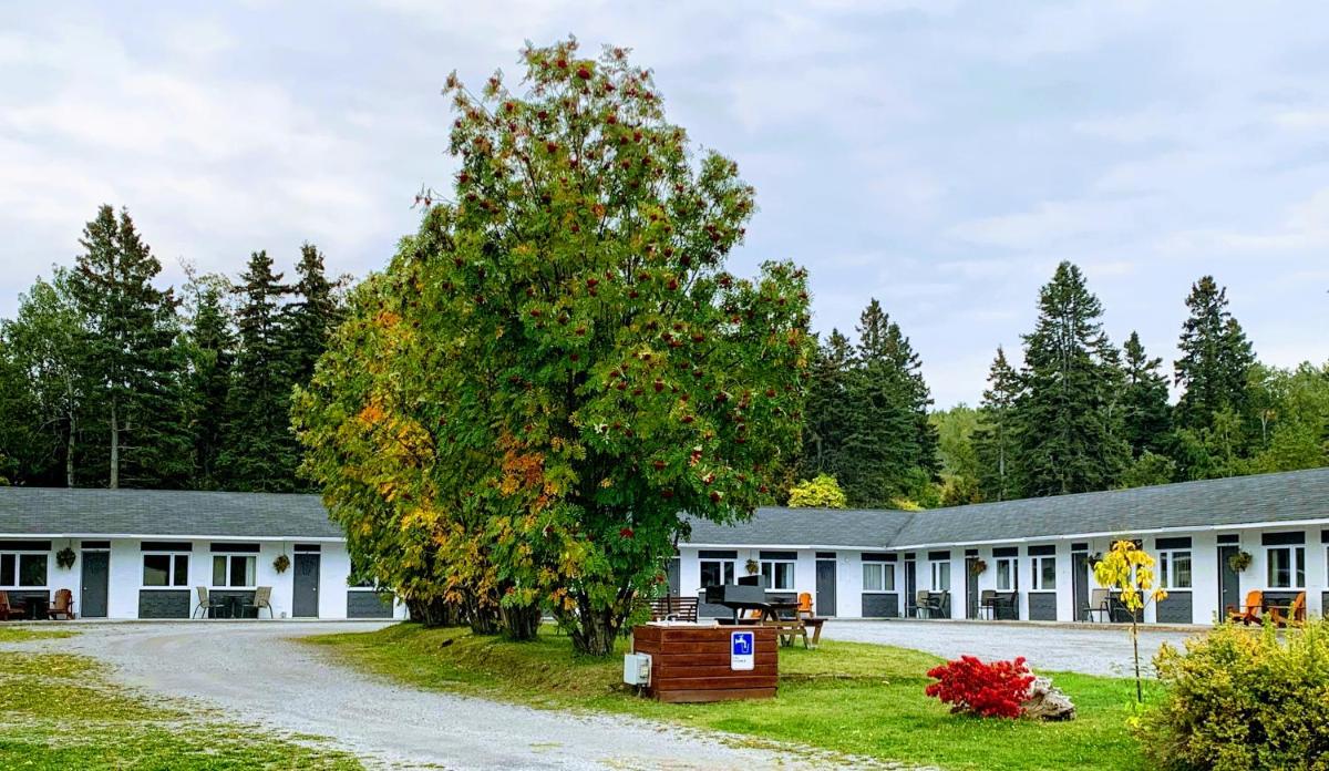 Motel de L'Anse et Camping Rimouski - Housity