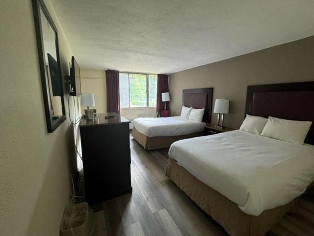 Town Inn - Housity