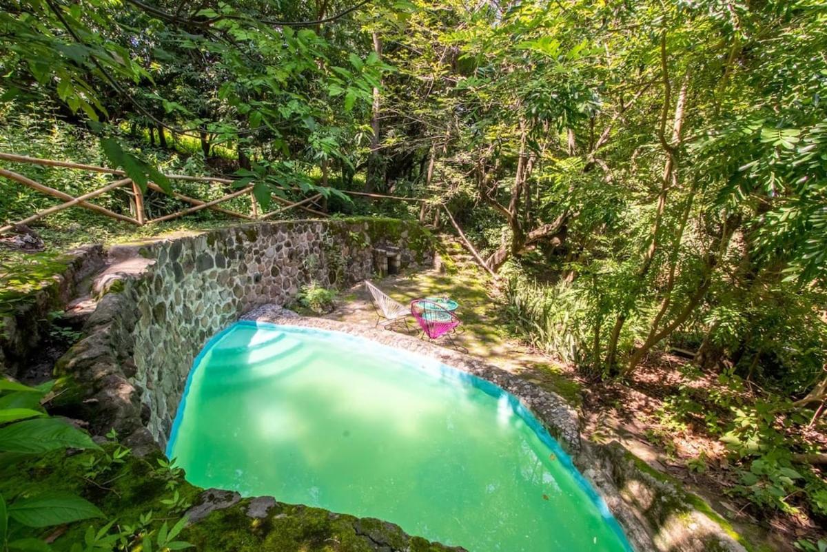 Natural Retreat & Pet-Friendly Escape - Housity