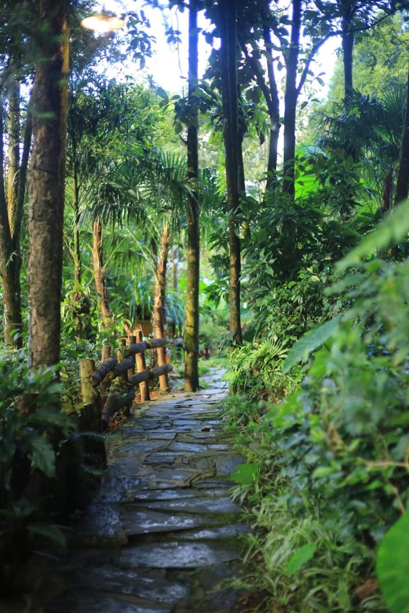Sapa Jungle Homestay - Housity