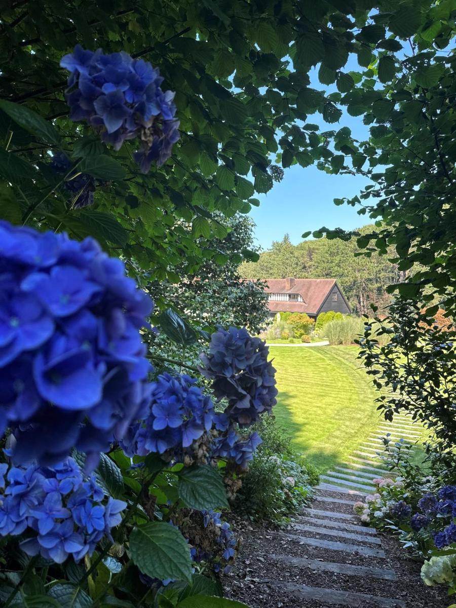 un jardin avec des fleurs bleues et une maison en arrière-plan dans l'établissement Les Pins de César - La campagne d'Etretat, à Saint-Jouin-Bruneval 52 autres photos