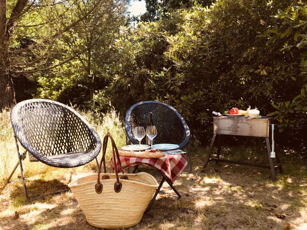 Jardin de l'établissement Les Pins de César - La campagne d'Etretat