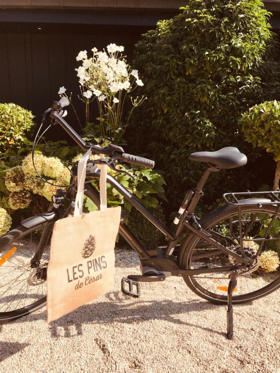 Vélo sur le terrain de l'établissement Les Pins de César - La campagne d'Etretat ou dans les environs