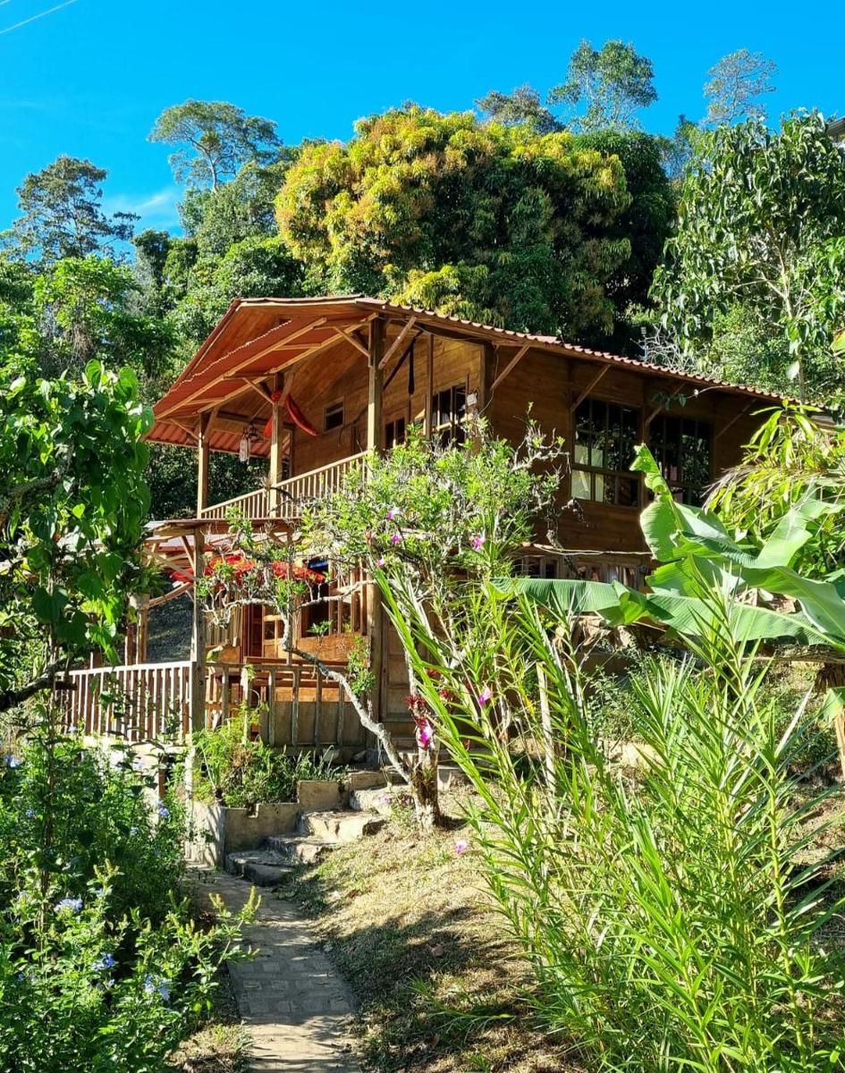 PANCHIGUA HOSTEL - Housity