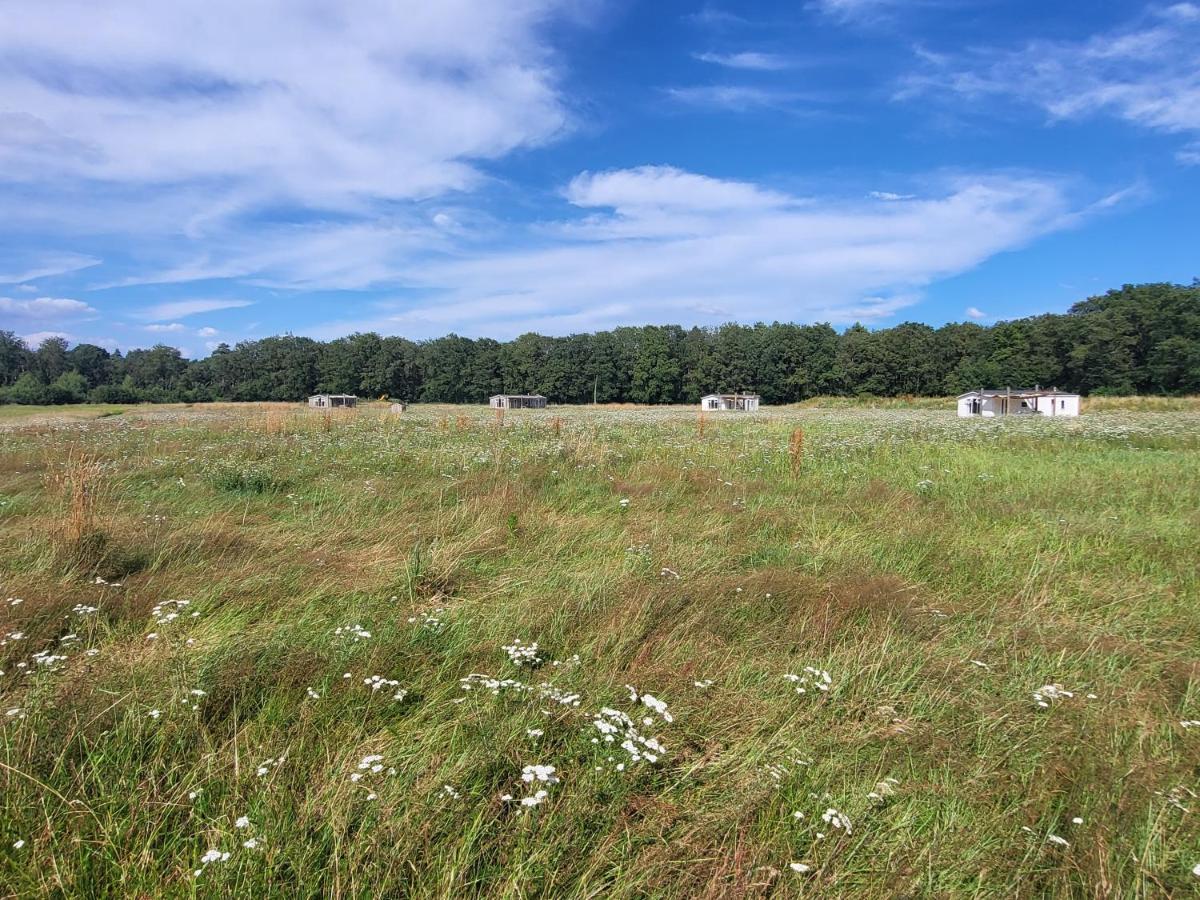 Hoeve Twente - Oeverzwaluw - Housity