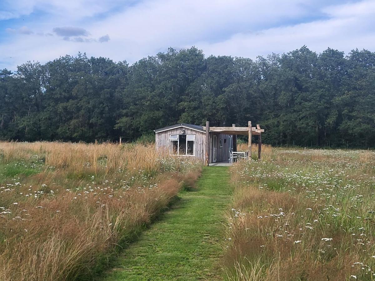 Hoeve Twente - Oeverzwaluw - Housity