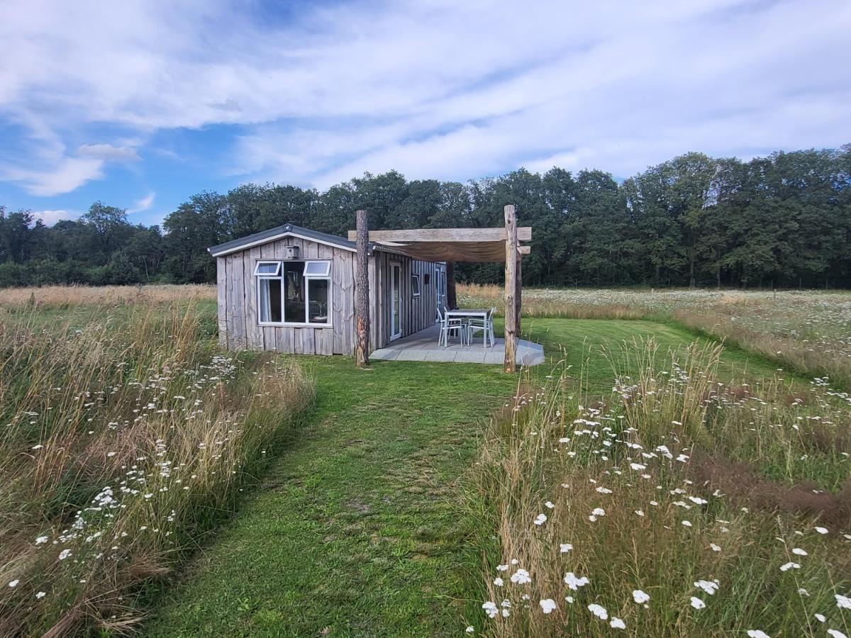 Hoeve Twente - Oeverzwaluw - Housity