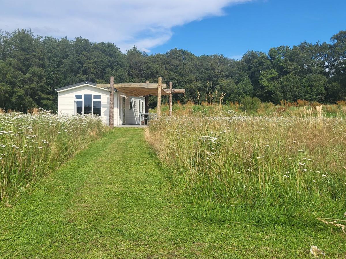Hoeve Twente - De Bonte Specht - Housity