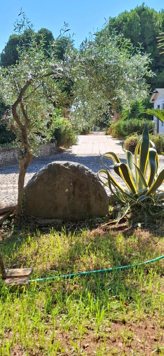 Affittacamere Villa Brazzano - Housity
