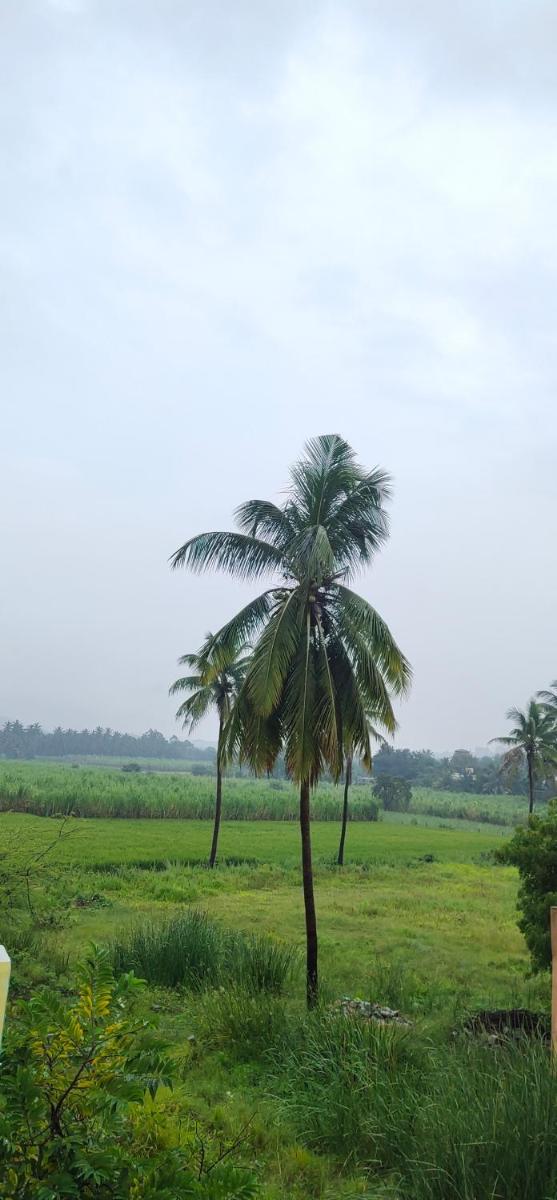 Raj Homestay Hampi - Housity