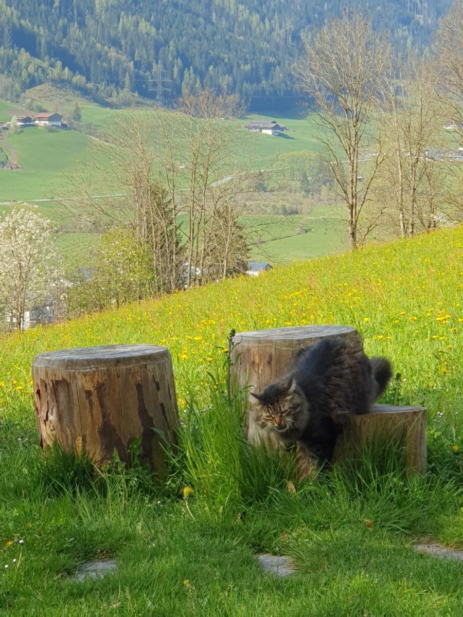 Pension Schlossberg - Housity