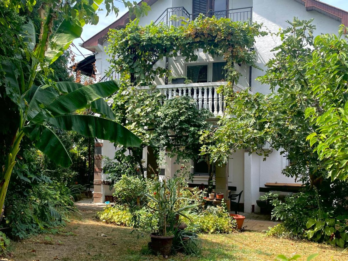 Apartment Jancic - Housity