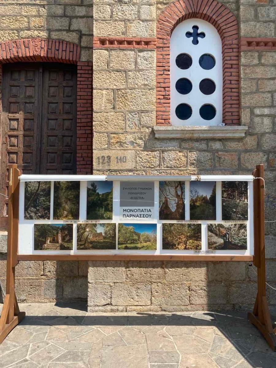 Angel House Greystone Villa Polydrossos - Housity