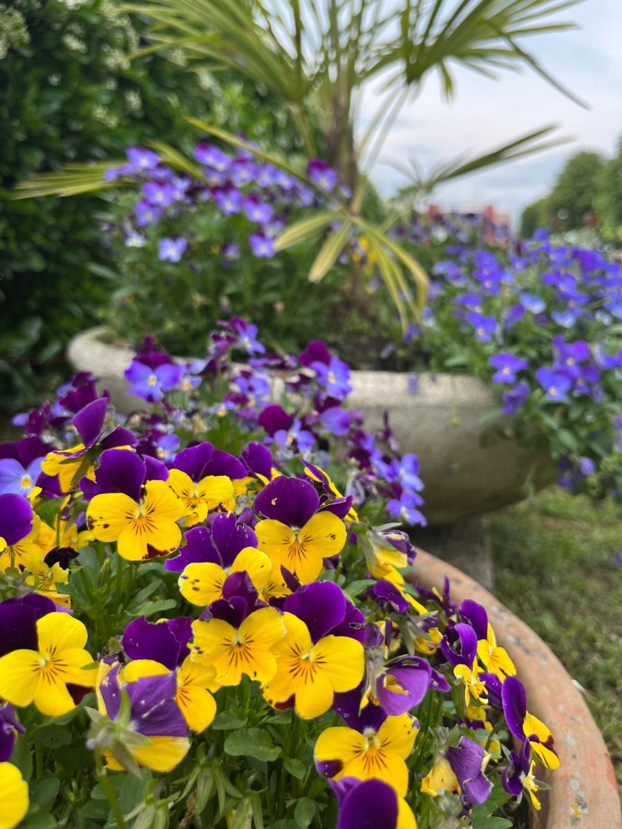 Agriturismo Al Buttasella - Housity