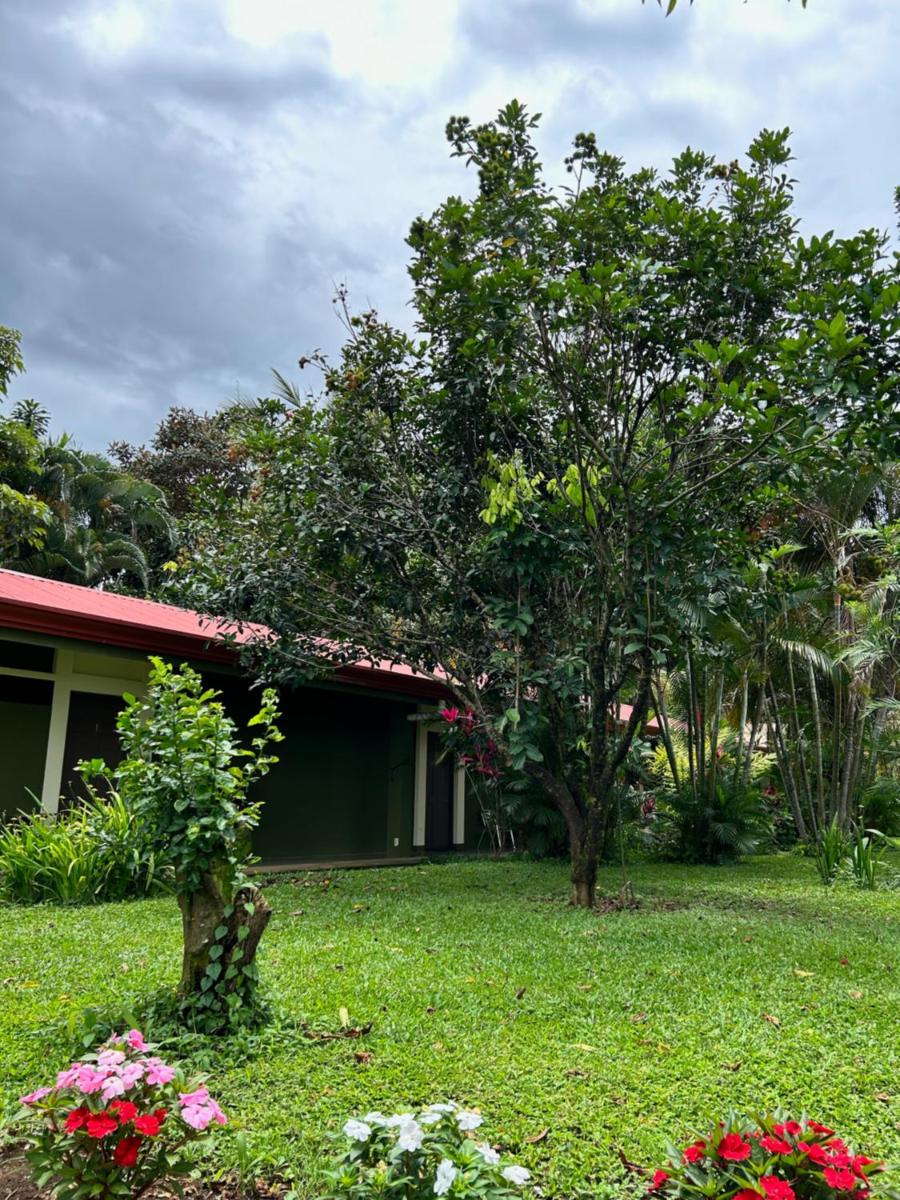 B&B Garden Grecia - Housity